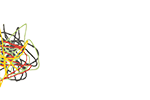 logo_top